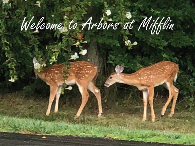 ARBORS AT MIFFLIN